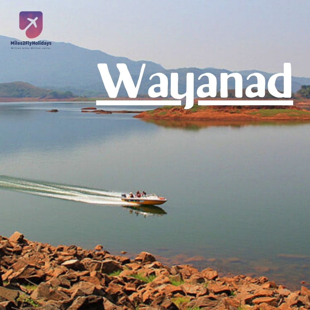 Essence Of Wayanad